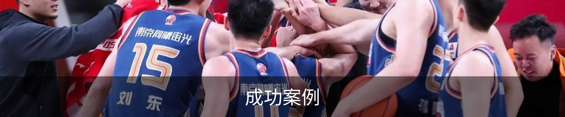 成功案例